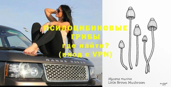 спиды Кинешма