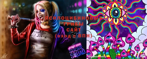 спиды Кинешма