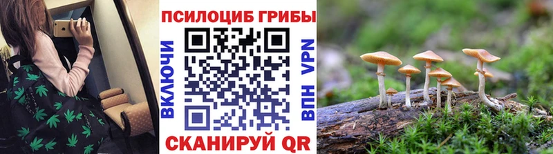 Купить где  Артёмовск  Галлюциногенные грибы мицелий 